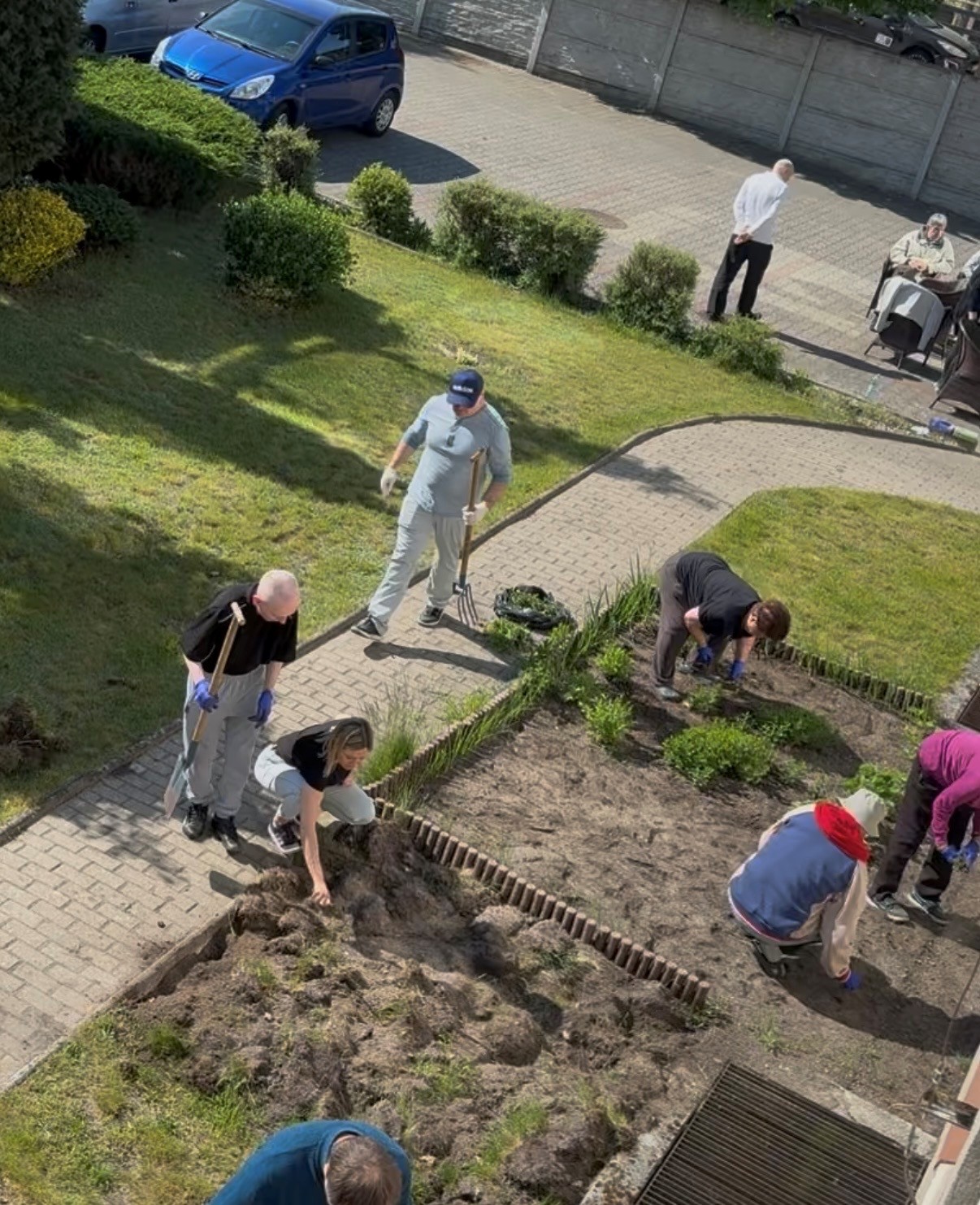 Dzień jest ciepły i słoneczny. Na zdjęciu z góry widać grupę osób pracujących w ogródku. Niektórzy kucają i pracują w ziemi inni stoją z łopatą i grabiami.