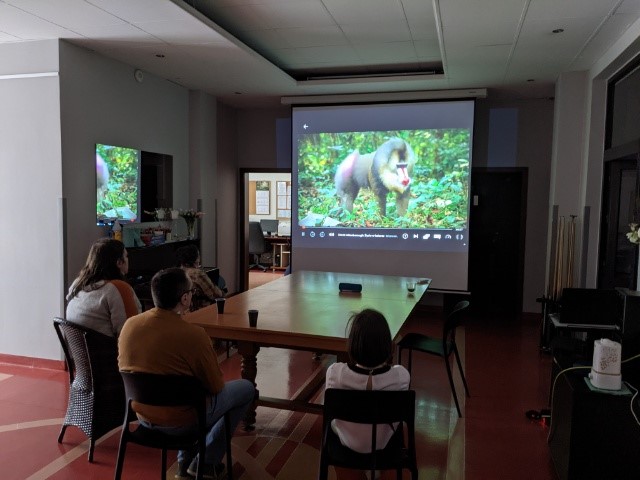 Grupa osób podczas projekcji filmu przyrodniczego. 