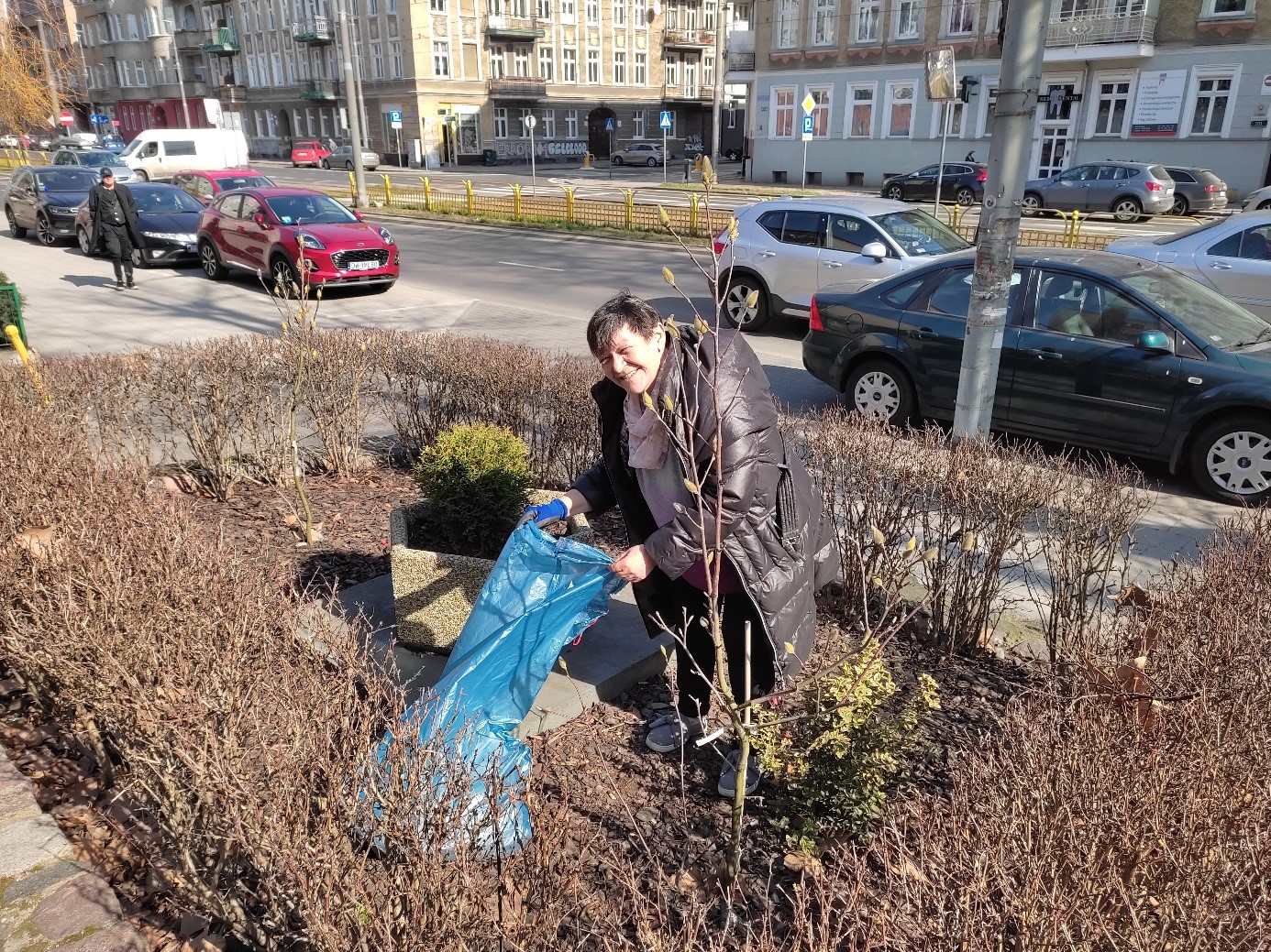 Kobieta porządkuje klomb z magnoliami.