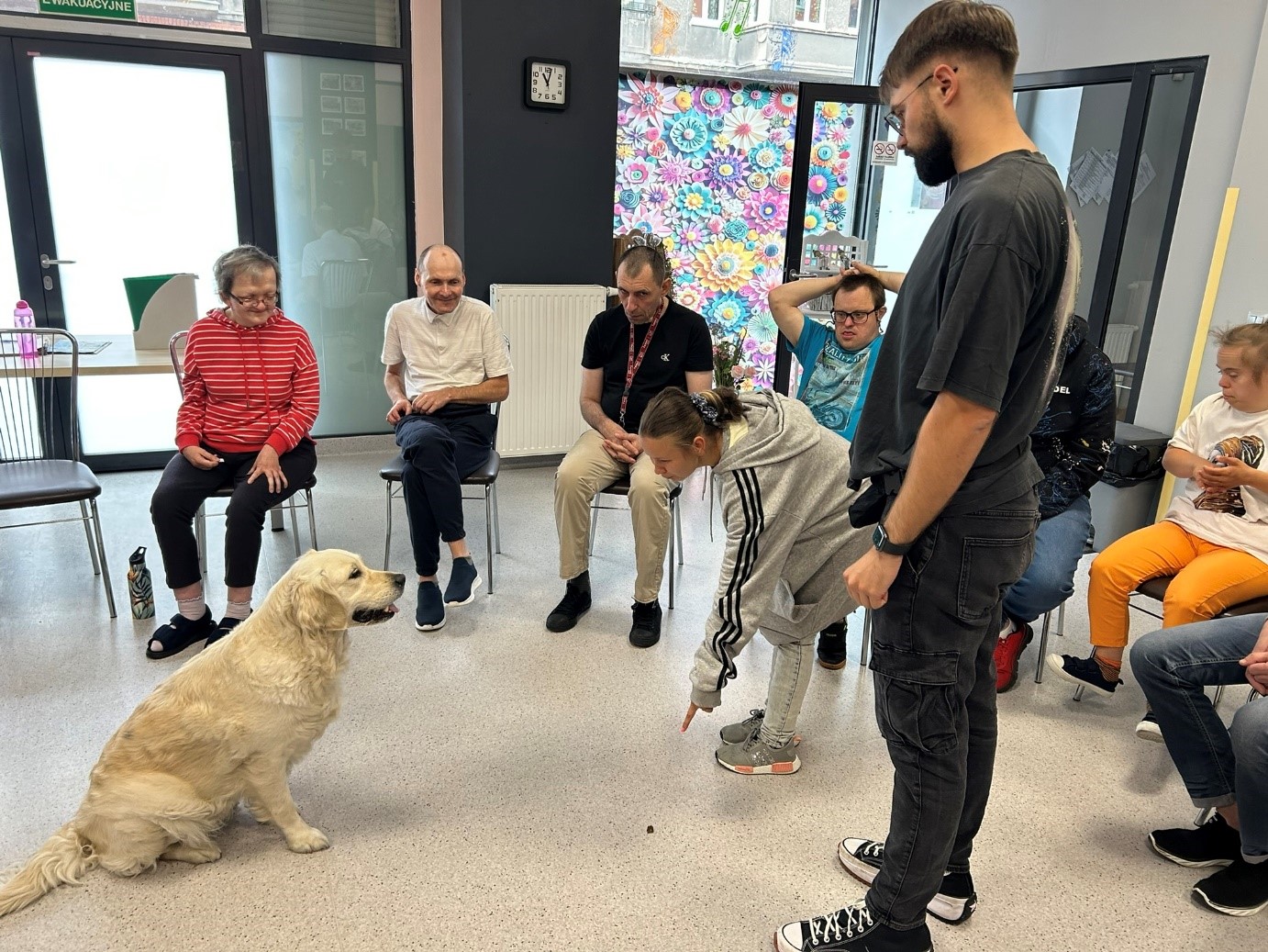 Grupa kobiet i mężczyzn siedzi na krzesłach. Na zdjęciu jest beżowy pies. Kobieta i mężczyzna stoją naprzeciwko psa. 